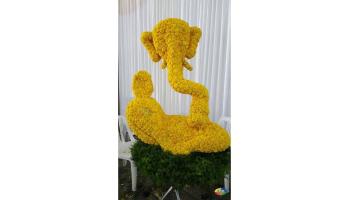Beautiful wedding decorations