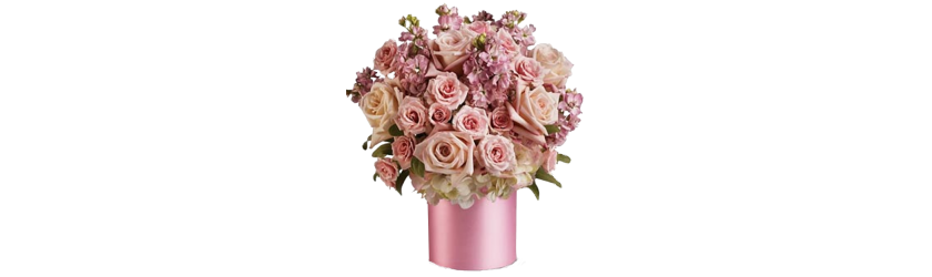 Flowers Boxes