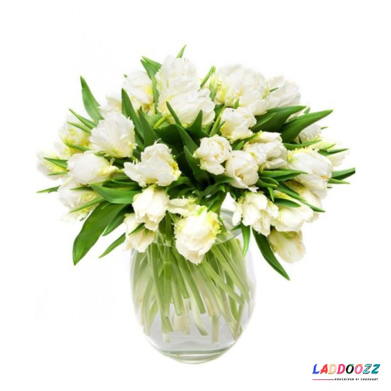 White & Green Tulips for Home or Office