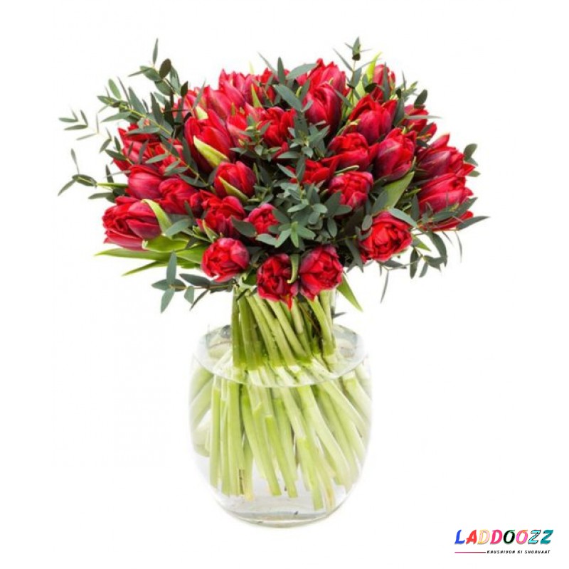 Red Parrot Tulips for Home and Office