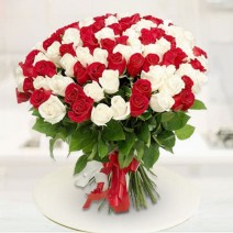 Bunch of Red & White Carnations 