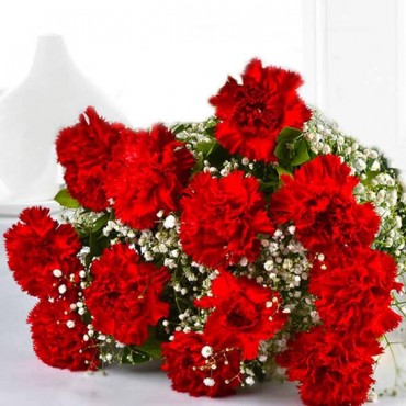 Bunch of Red Carnations 