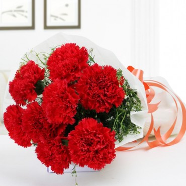 Enchanting Red Carnation Bunch 