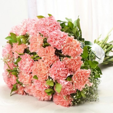 Exquisite Carnations 