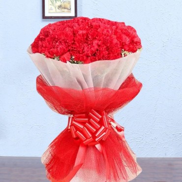 Lovely Bunch Of Carnation 