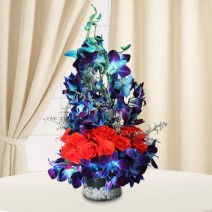 Orange and Blue Surprise Mixed