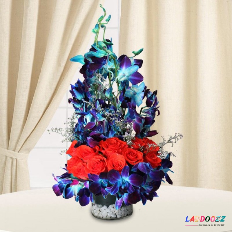 Orange and Blue Surprise Mixed