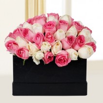 Peaceful Pink N White Roses 