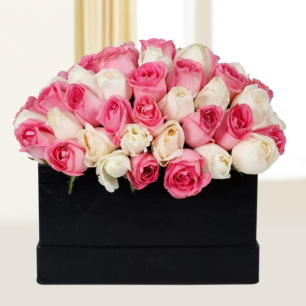Peaceful Pink N White Roses 