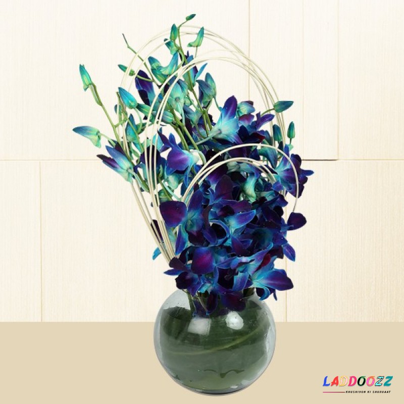 Blue Orchids Bunch 